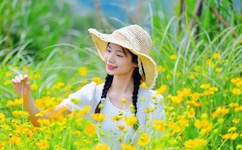 快猫网站在线进入